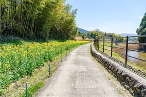 Yamanobe No Michi Trek