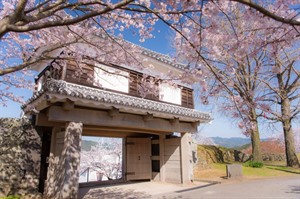 Usuki Castle Town