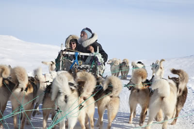 Kangerlussuaq - Dog Sledge Experience