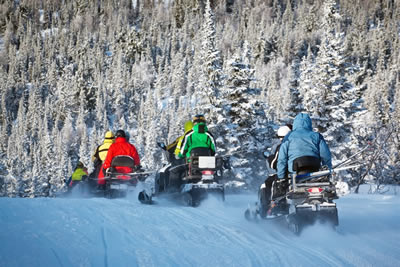 Easy Snowmobile Safari