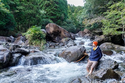 Forest Therapy in Kyoto by the Sea