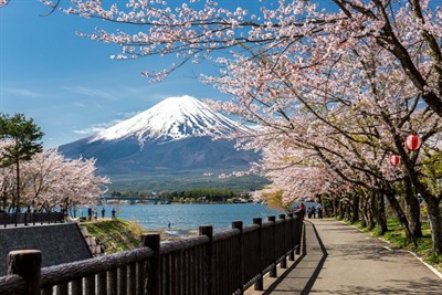 Fuji Hidden Lake Cycling Tour