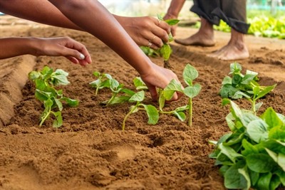 Healthy Cooking Class at an Organic Farm