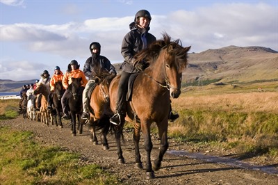 Horse riding tour & Hot Springs
