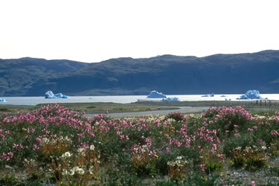 Narsarsuaq - Short Hike to the Ridge