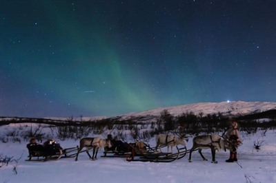 Northern Lights & Reindeer Sledding