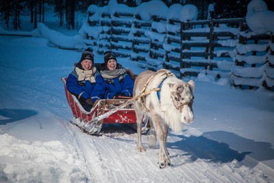 POLAR NIGHT – Evening reindeer safari