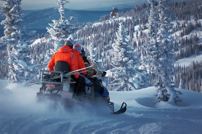 Snowmobile safari into the Arctic Circle Forest