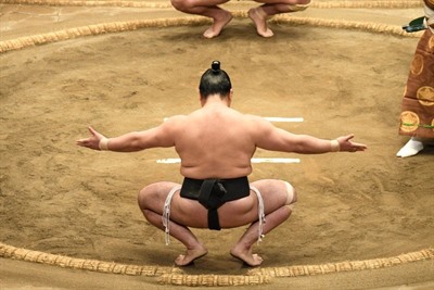 Sumo Training Experience