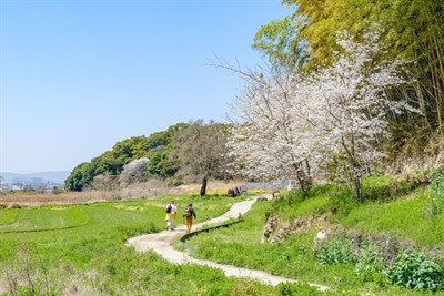 Trekking in The Hills of Nara: Yamanobe No Michi