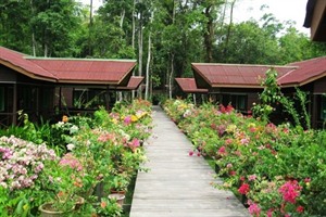 Abai Jungle Lodge