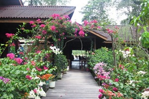 Abai Jungle Lodge - restaurant