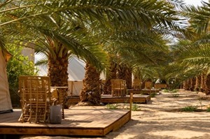 Almazham Farm 2