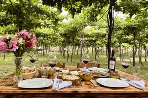 Alpeta Agritourism & Winery