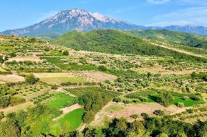 Alpeta Agritourism & Winery