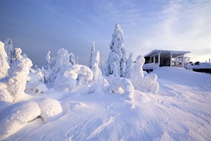 Panoramic House