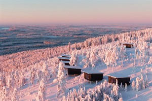 Birdhouse cabins
