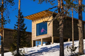 Bidrhouse Cabin