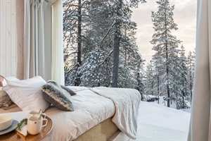 Views from the Arctic Treehouse Hotel