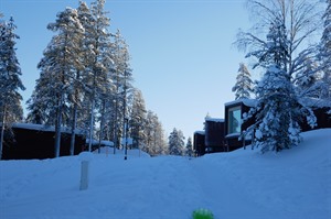 Exterior of Arctic Treehouse Hotel