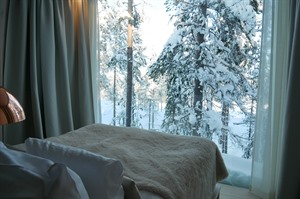 View from the Arctic Treehouse Hotel