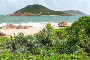 Avana Quy Nhon Resort & Spa, Beach