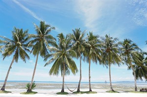 Bayud Boutique Resort