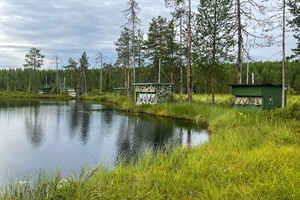 'Bear hides' - exterior