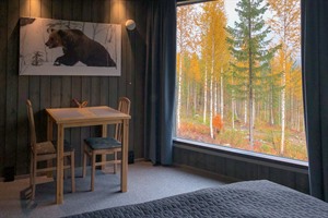 'Luxury bear cabin hide'