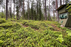'Bear hide' - exterior