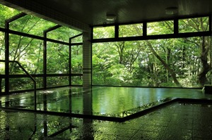 Beniya Mukayu Ryokan