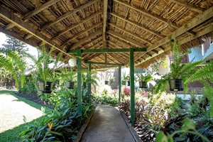 Bird of Paradise Hotel | Garden