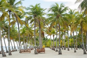 Bohol Beach Club, Beach