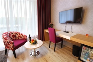 City Park Hotel - room