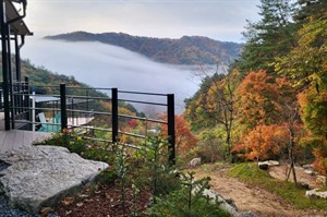 Daon Forest Pension