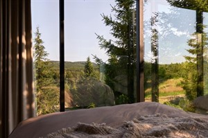 Furu Natur & Kultur 4