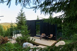 Furu Natur & Kultur 6