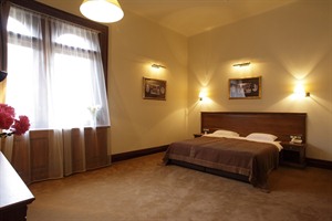 Premium Room at the George Hotel