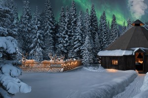 Reindeer enclosure - rendering photo