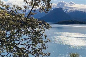 Hardangerfjord Hotel 3
