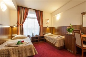Hotel Alexander - Business Room