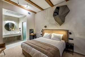 Hotel Artagonist - standard room