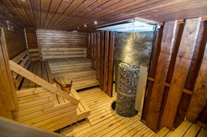 Hotel Sauna - Hotel Harriniva