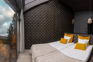 Aurora Room