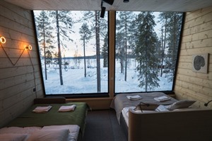 Arctic Sky Nest - interior
