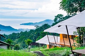 Kaura Bali