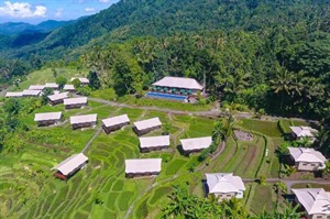 Kaura Bali