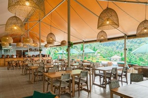 Kaura Bali