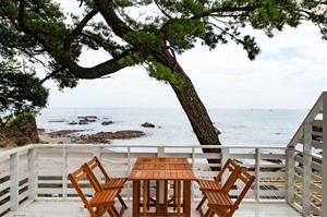Kawazu Beach House Blue Moon