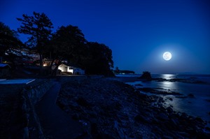 Kawazu Beach House Blue Moon
